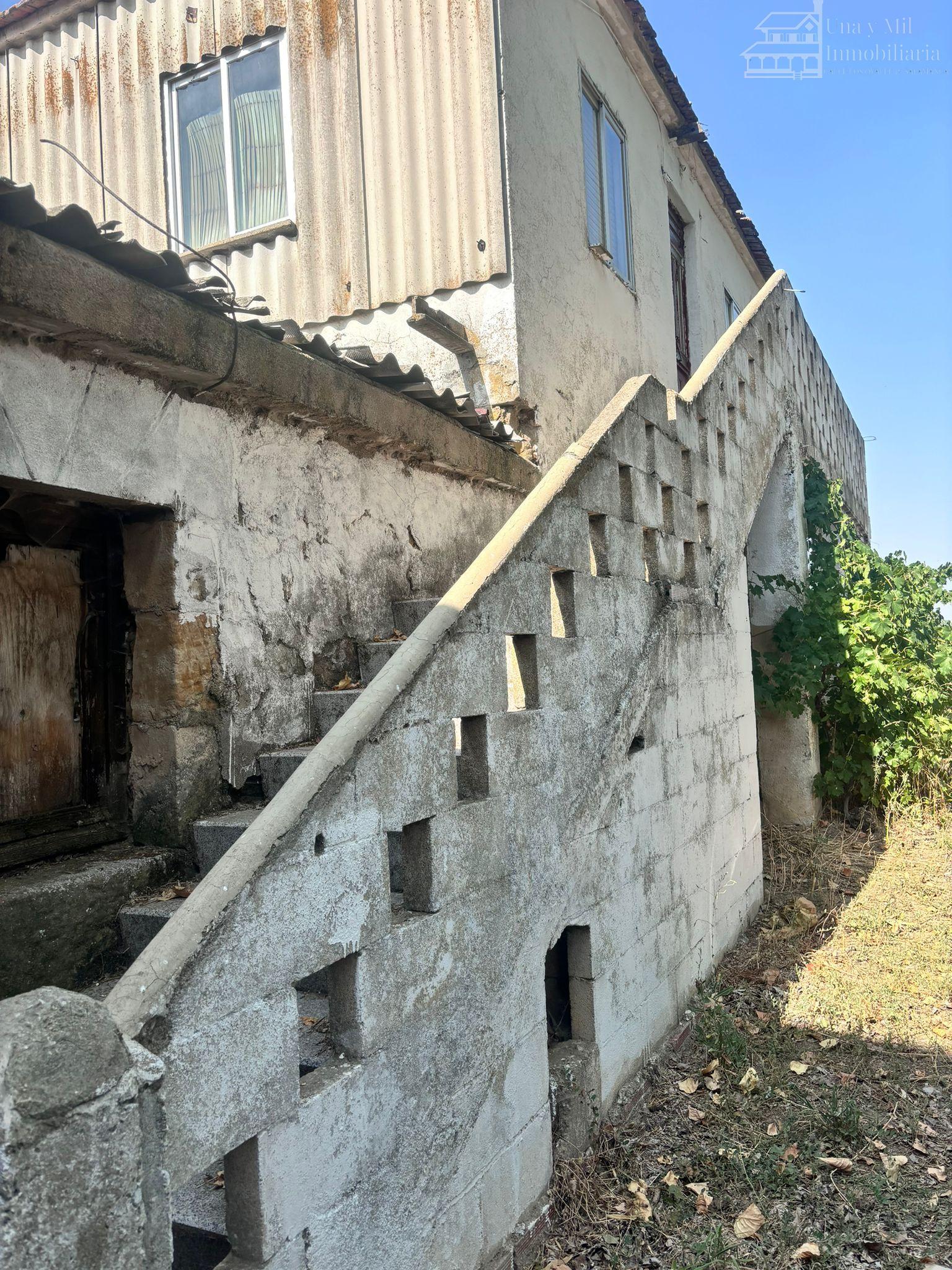 House body