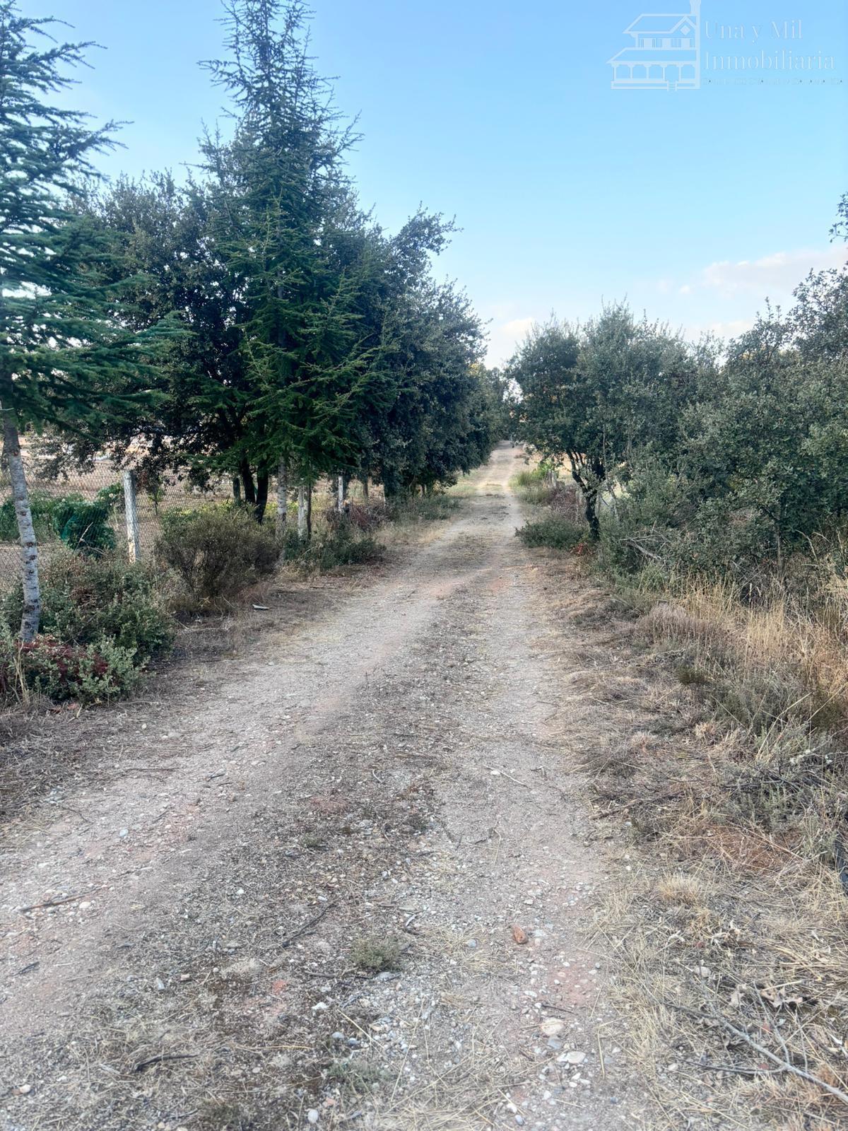 Ground