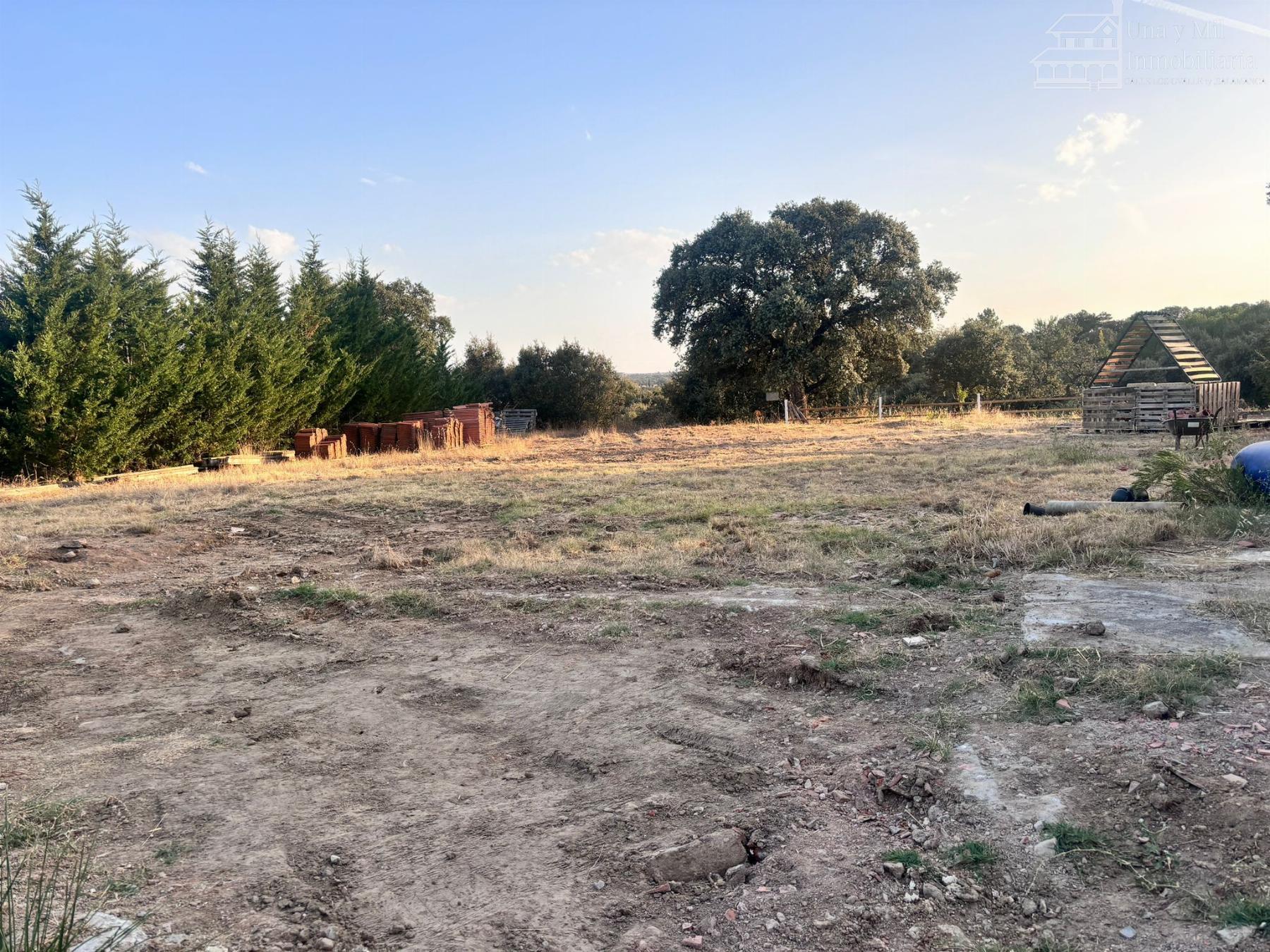 Ground