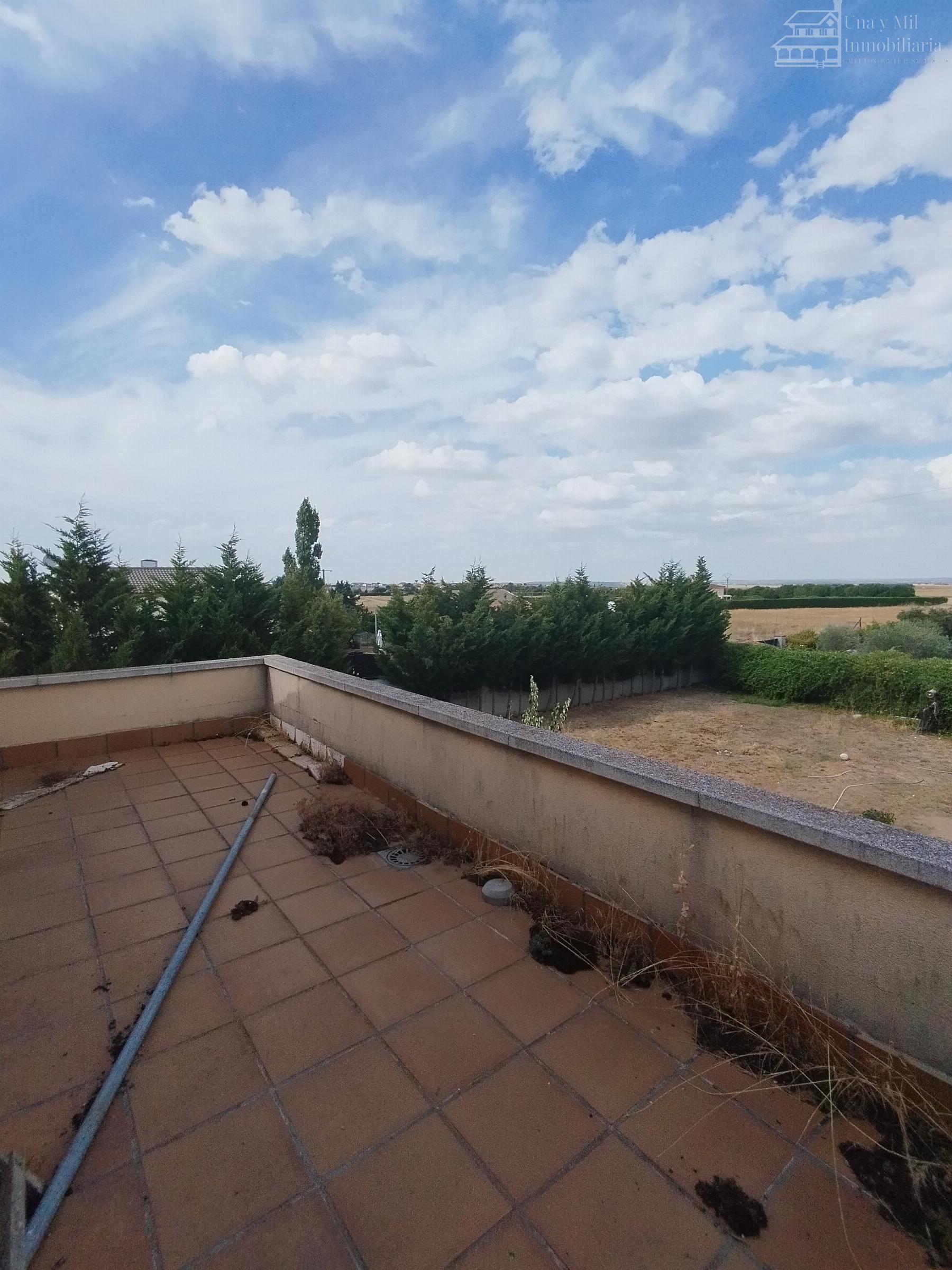 Venta de finca rústica en Calvarrasa de Arriba