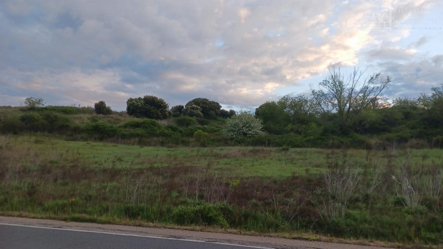 Ground