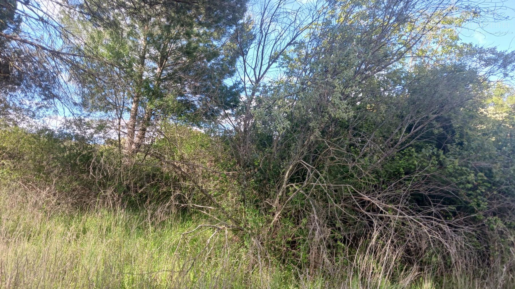 Ground