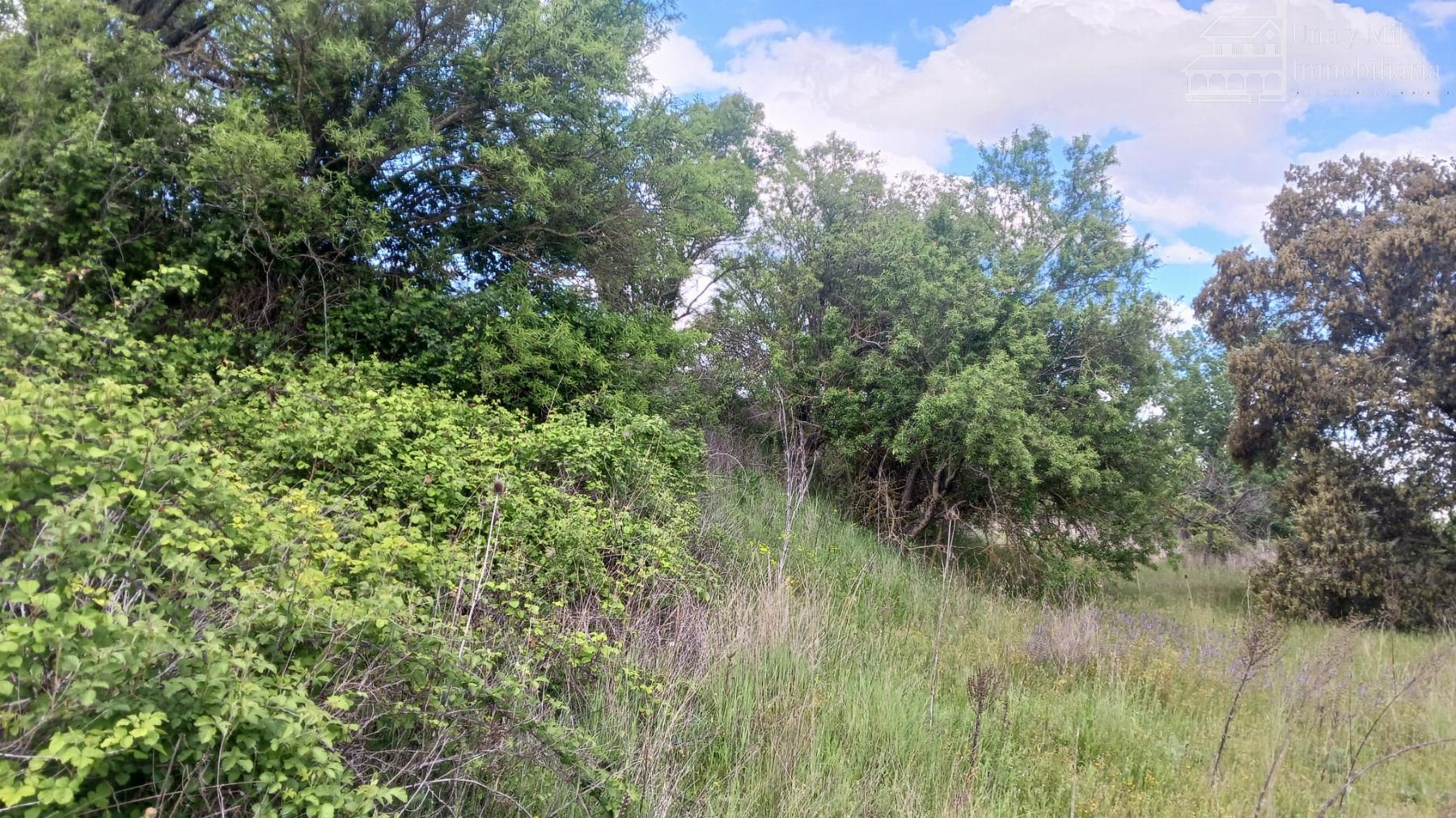 Ground
