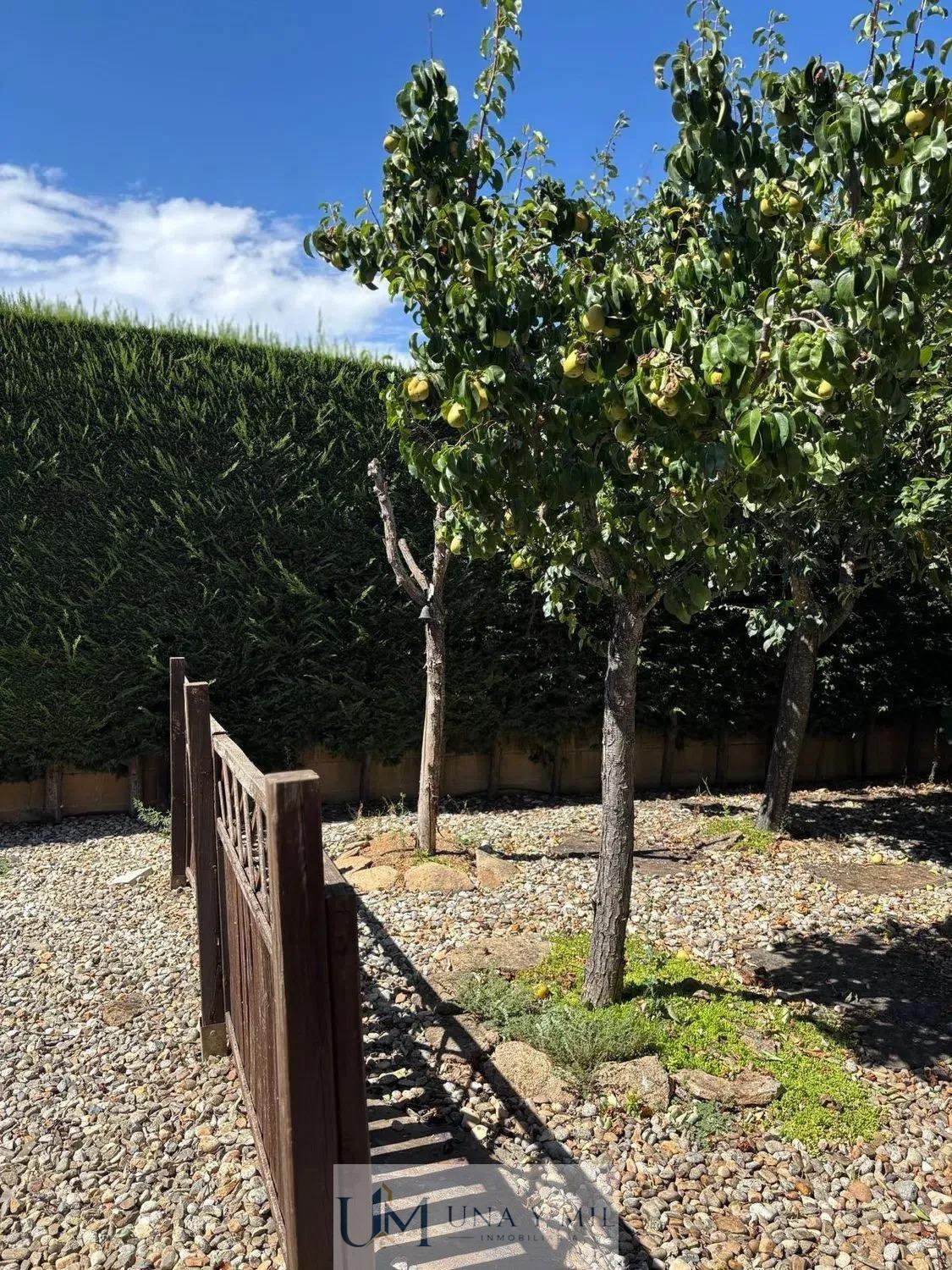 Jardín