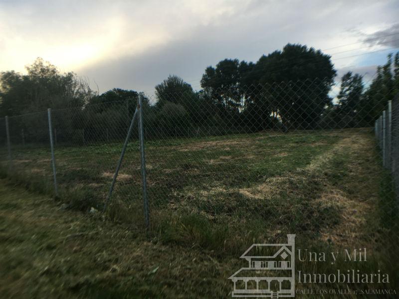 Vendita di terreno in Aldealengua