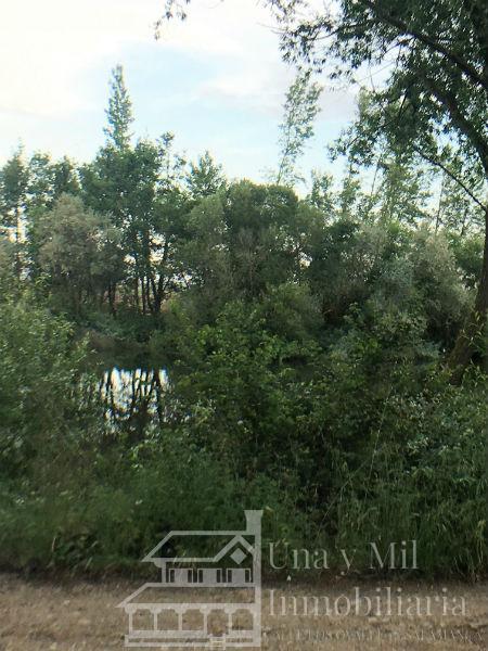 Vendita di terreno in Aldealengua