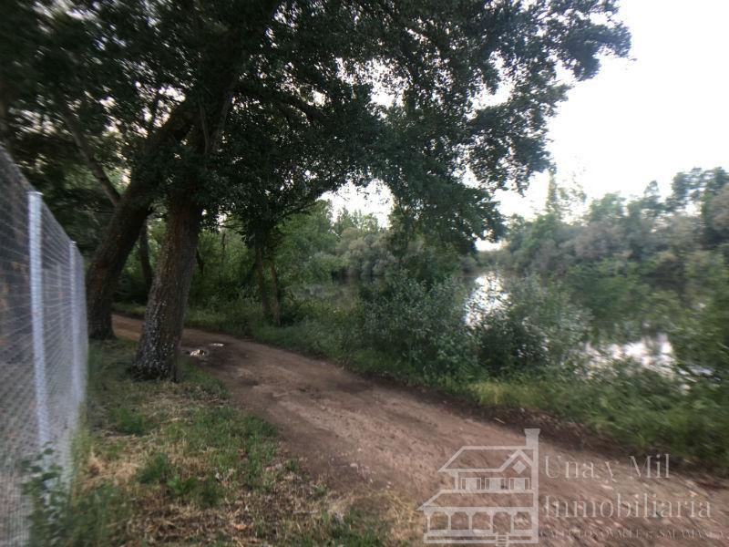 Vendita di terreno in Aldealengua