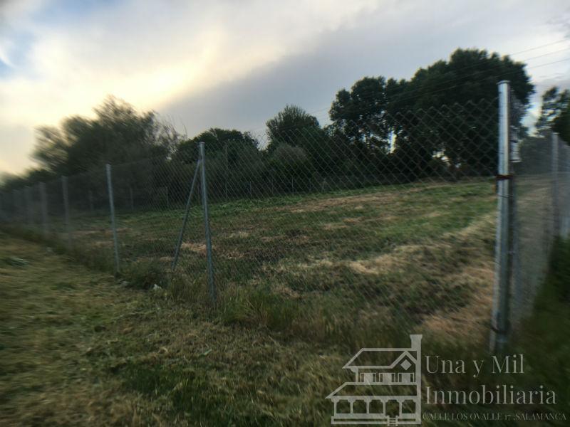 Vendita di terreno in Aldealengua