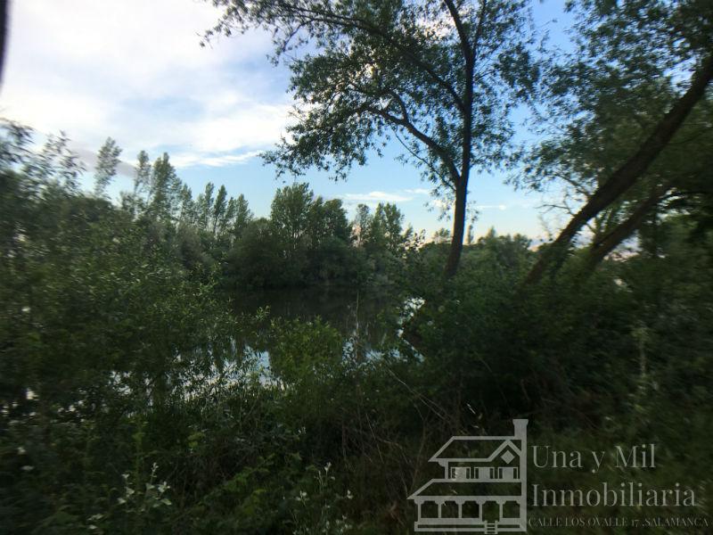 Vendita di terreno in Aldealengua