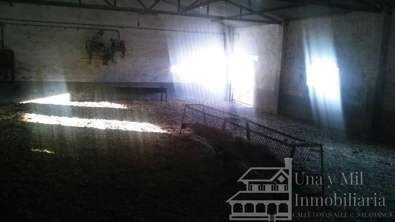 Til salg fra finca   i Ciudad Rodrigo