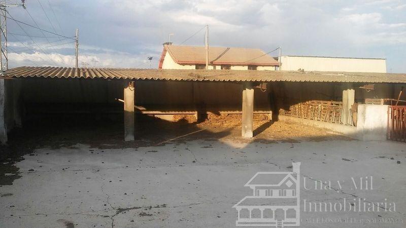 Til salg fra finca   i Ciudad Rodrigo