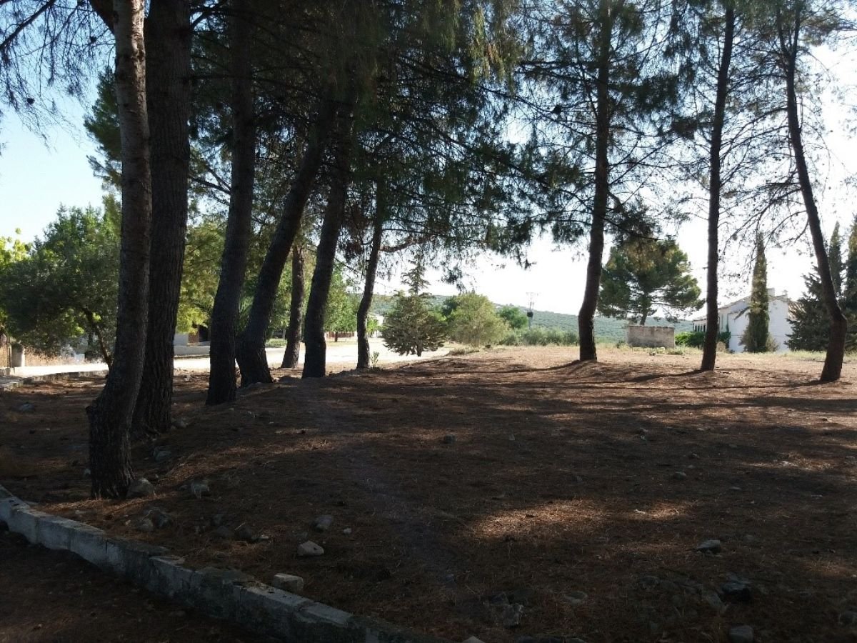 For sale of rural property in Martos