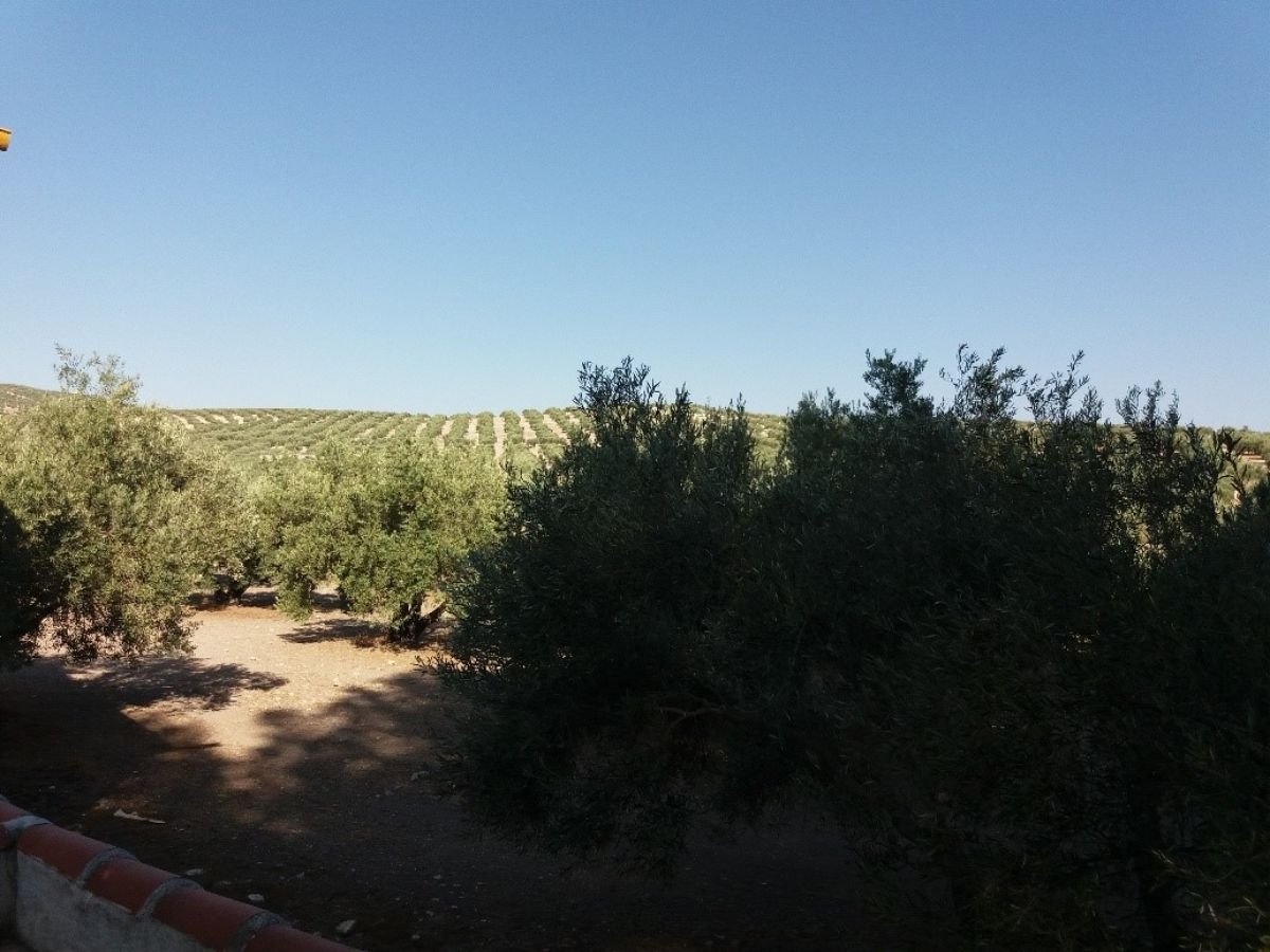 For sale of rural property in Martos