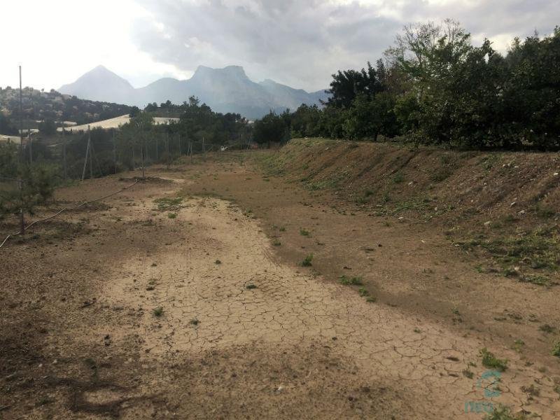 Venta de finca rústica en La Nucia