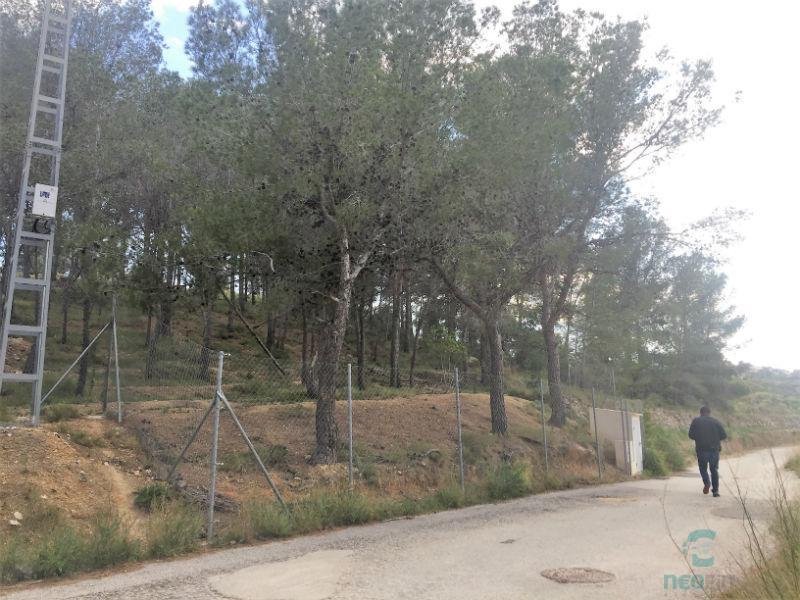 For sale of rural property in La Nucia