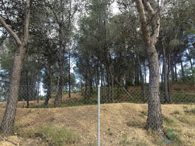 Venta de finca rústica en La Nucia