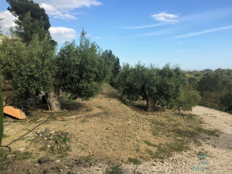 For sale of rural property in La Nucia