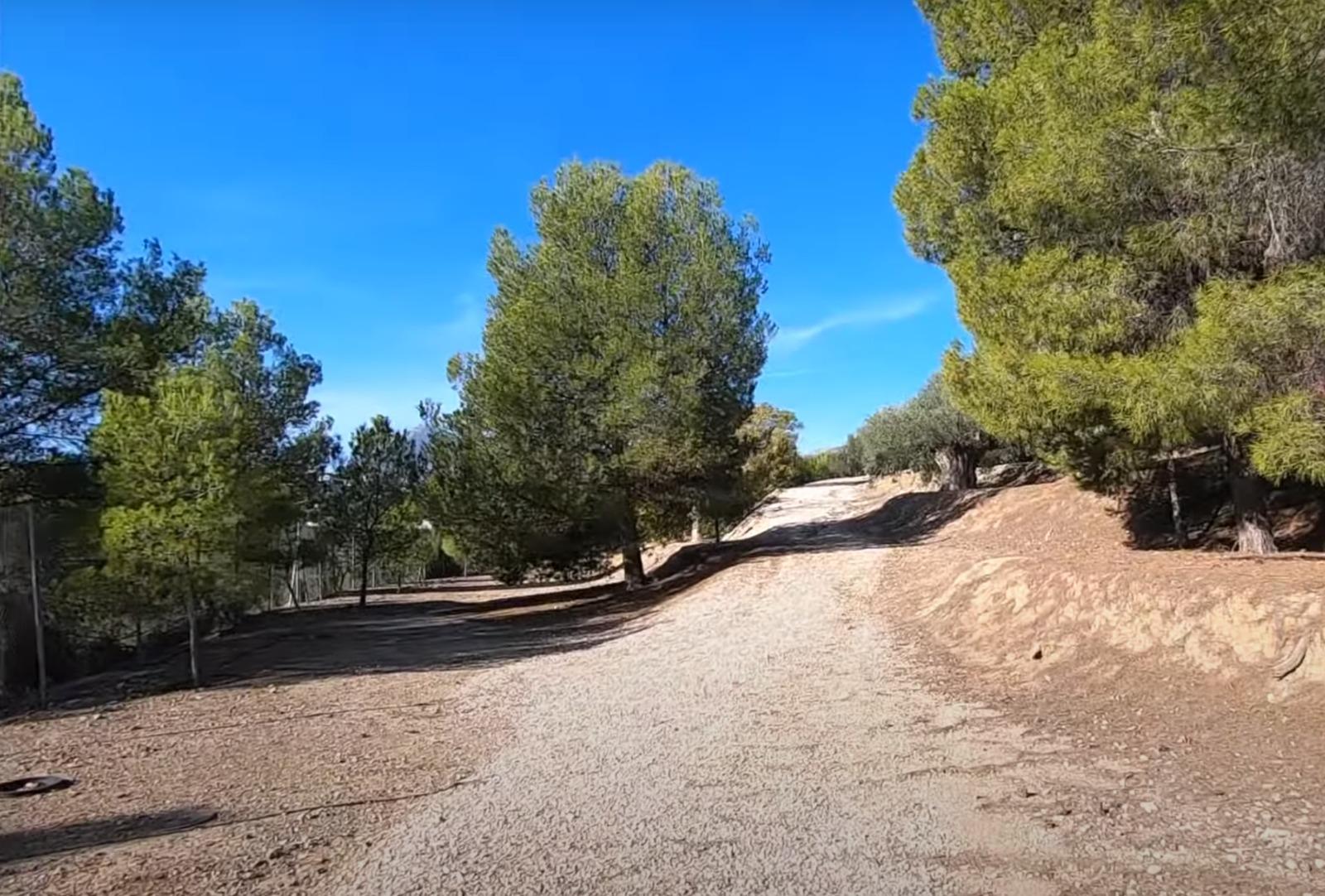 Venta de finca rústica en La Nucia