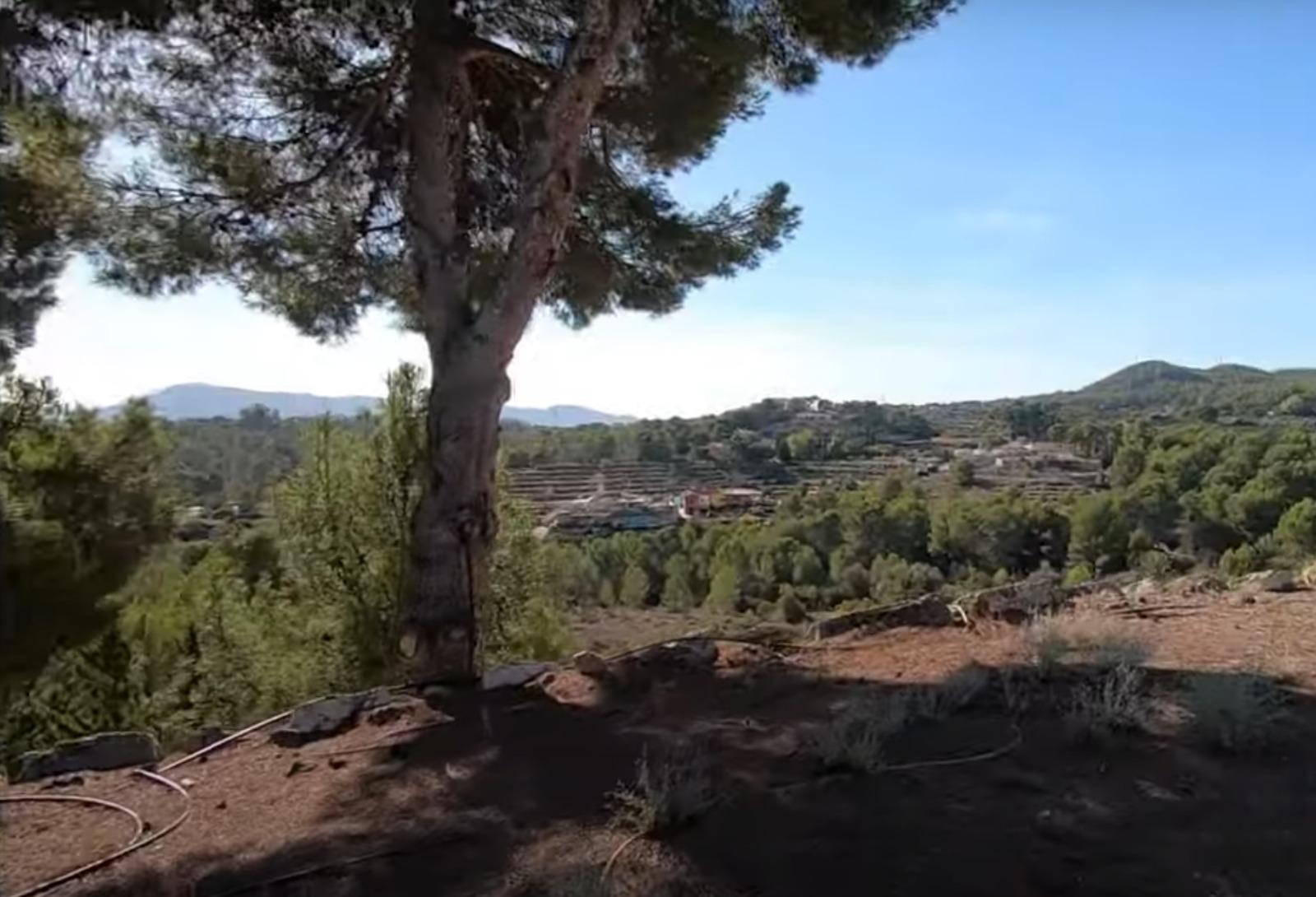 Venta de finca rústica en La Nucia