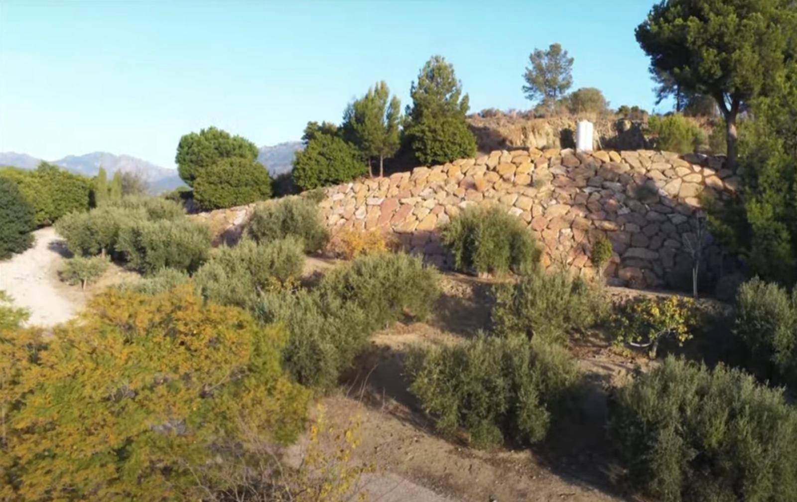 Venta de finca rústica en La Nucia