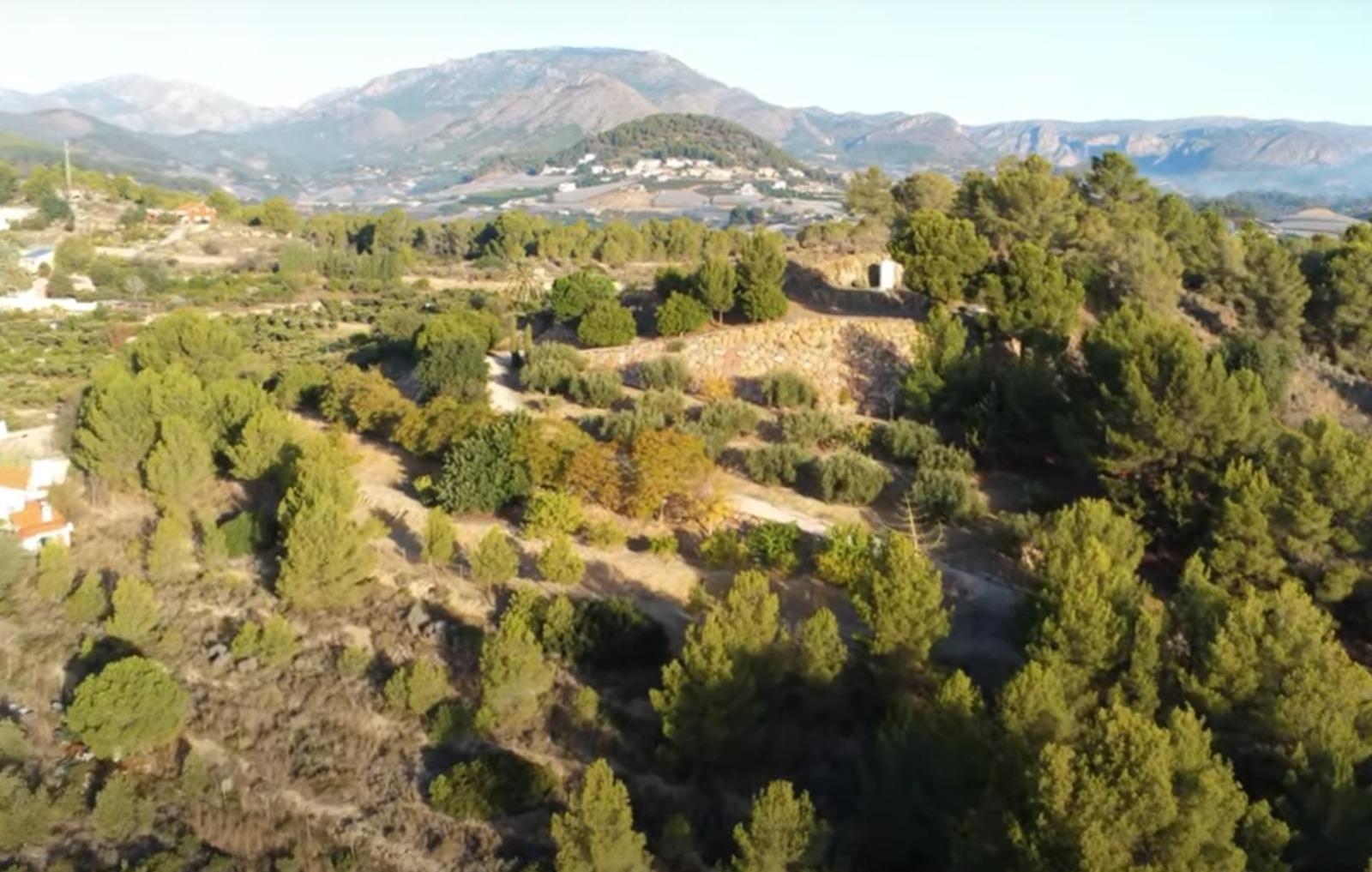 Venta de finca rústica en La Nucia