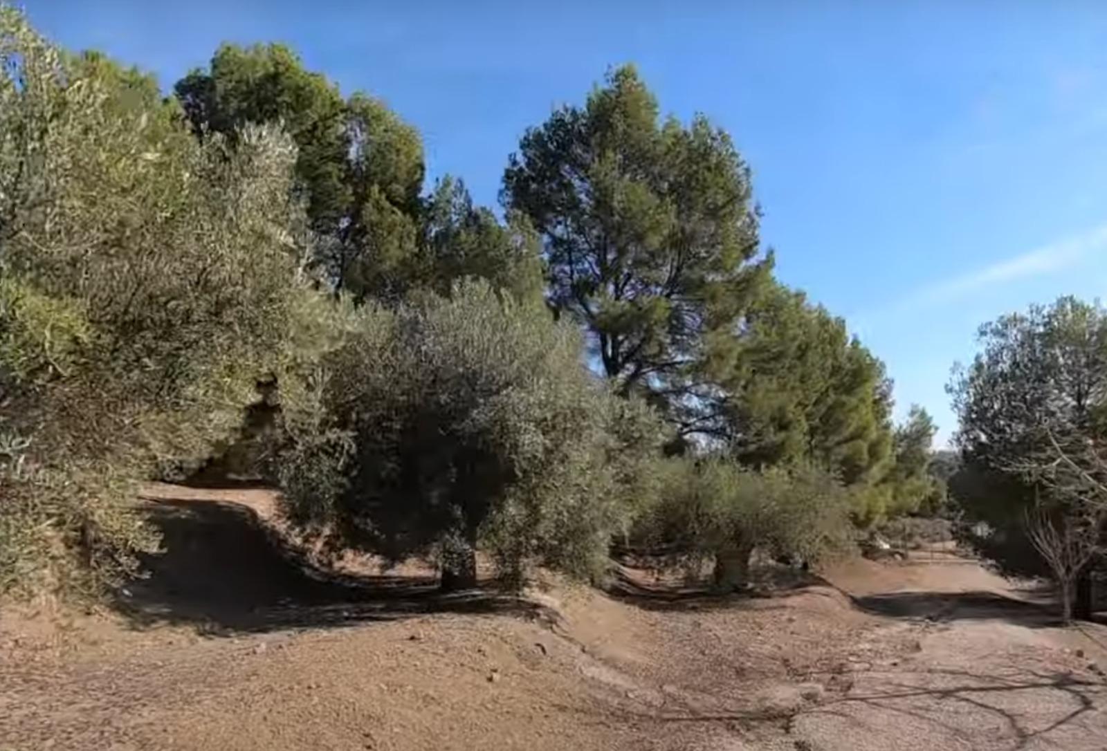 Venta de finca rústica en La Nucia