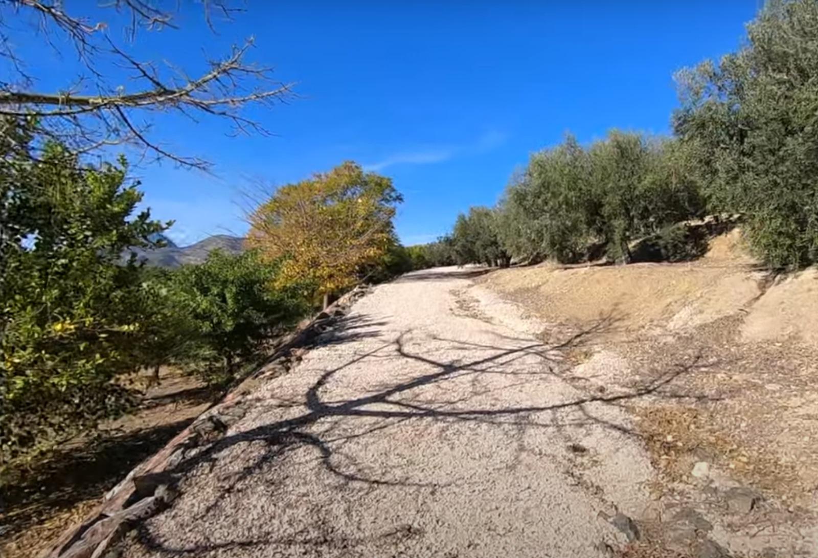 Venta de finca rústica en La Nucia