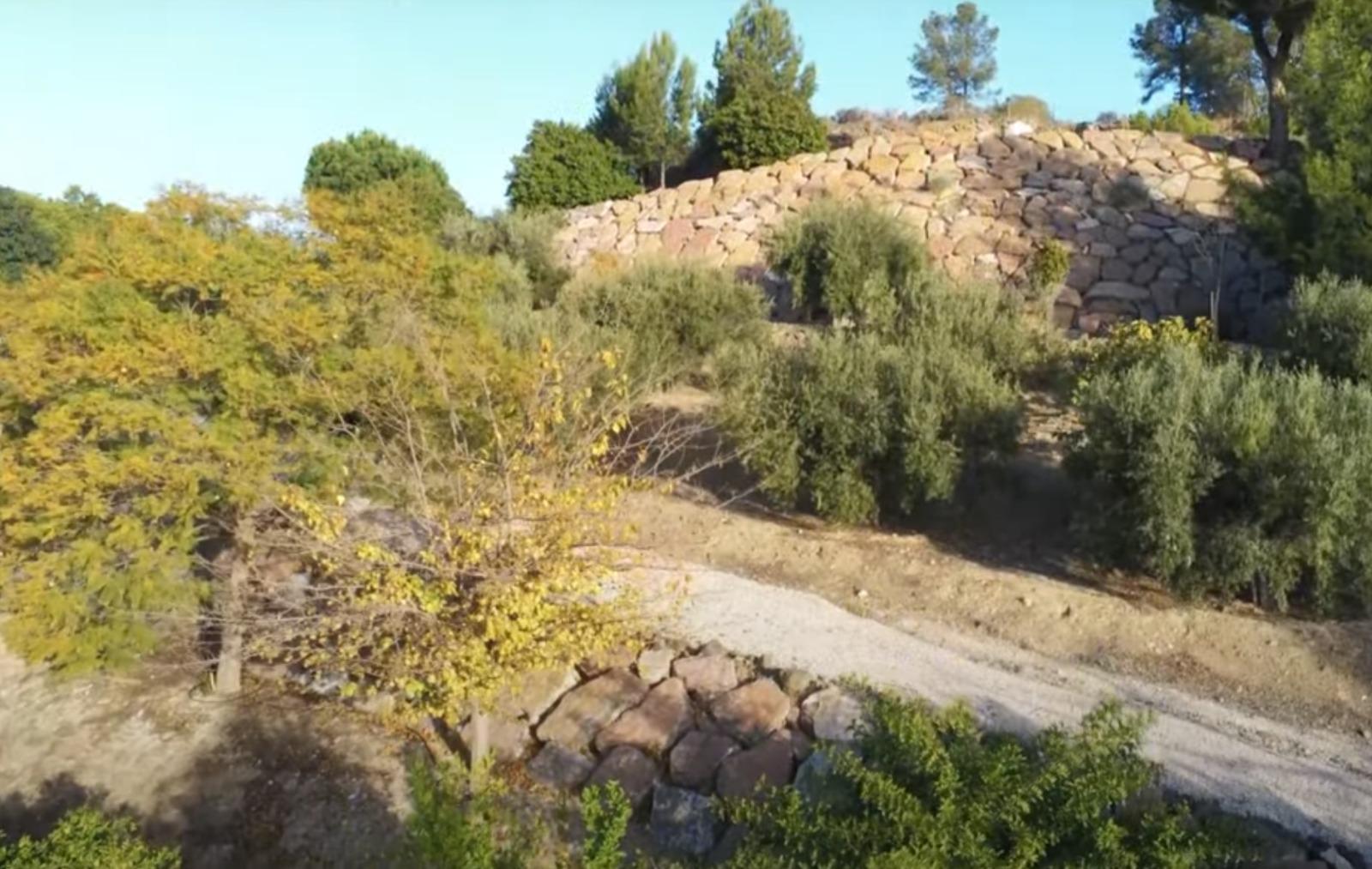 Venta de finca rústica en La Nucia