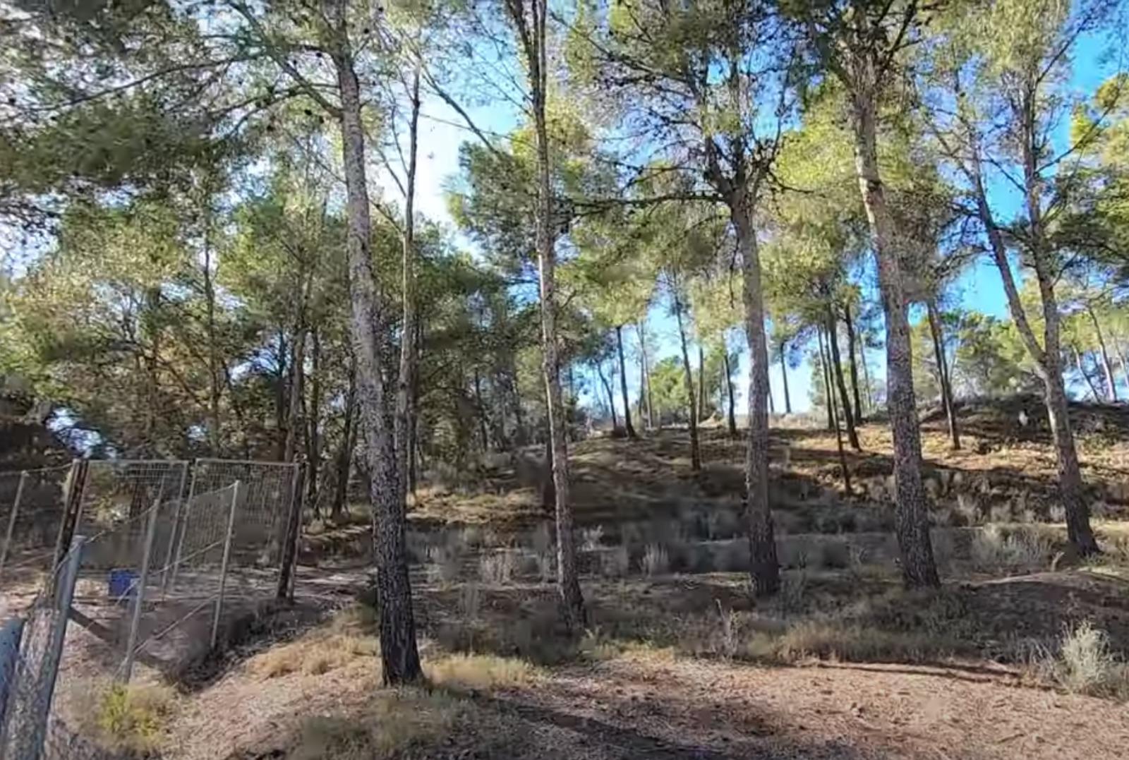 Venta de finca rústica en La Nucia