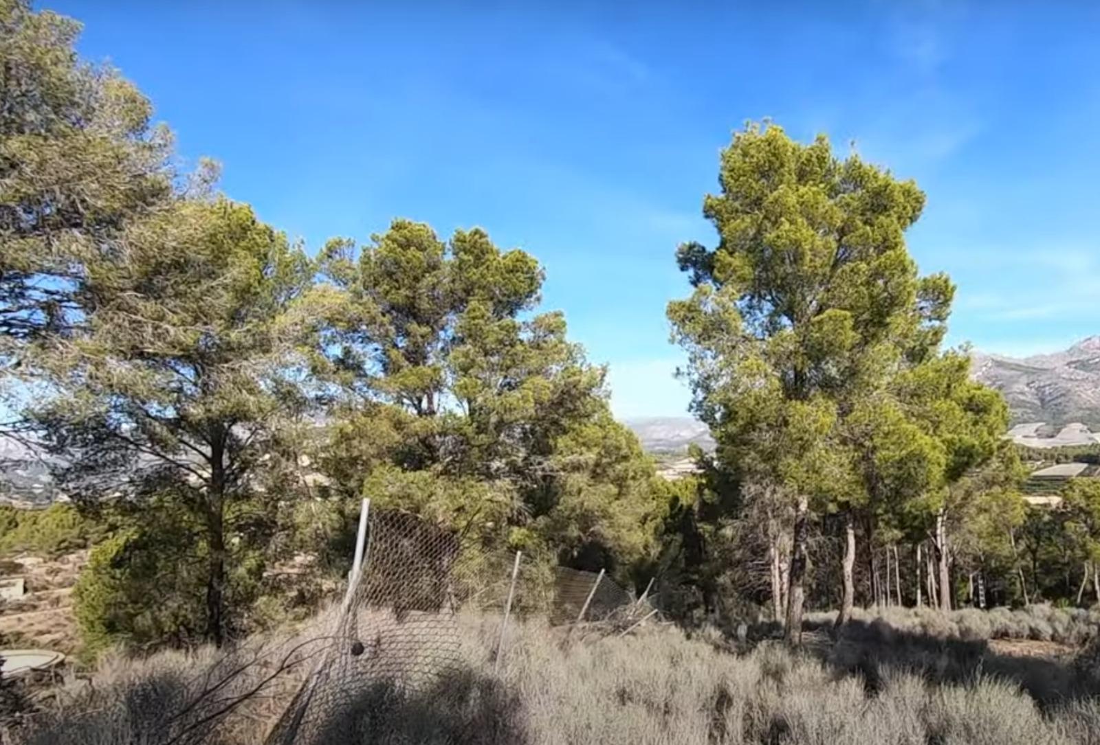 Venta de finca rústica en La Nucia