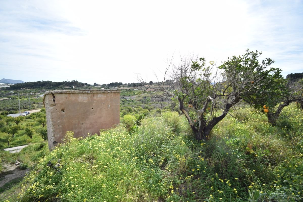 Venta de finca rústica en La Nucia