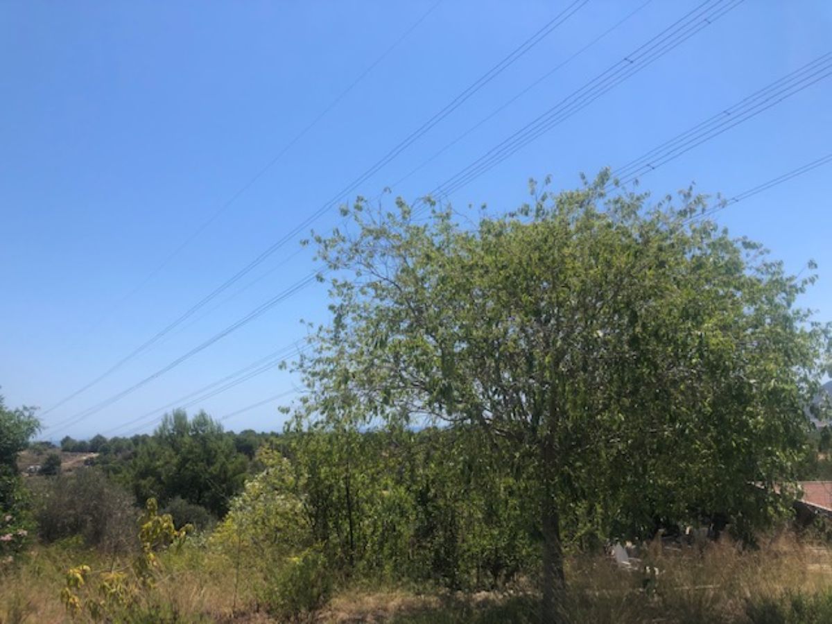 For sale of rural property in La Nucia