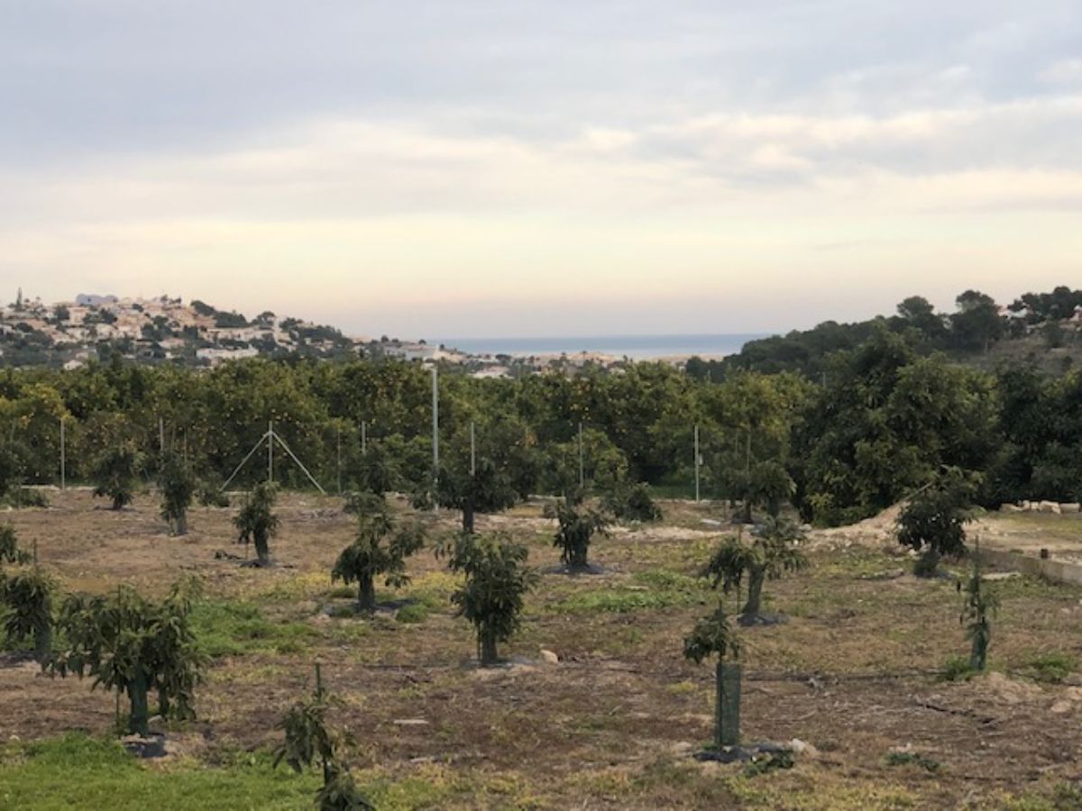 For sale of land in Alfaz del Pi