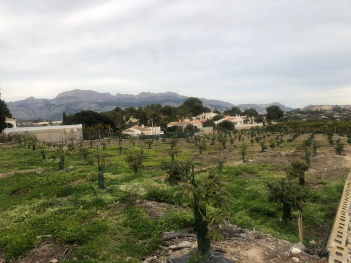 For sale of land in Alfaz del Pi