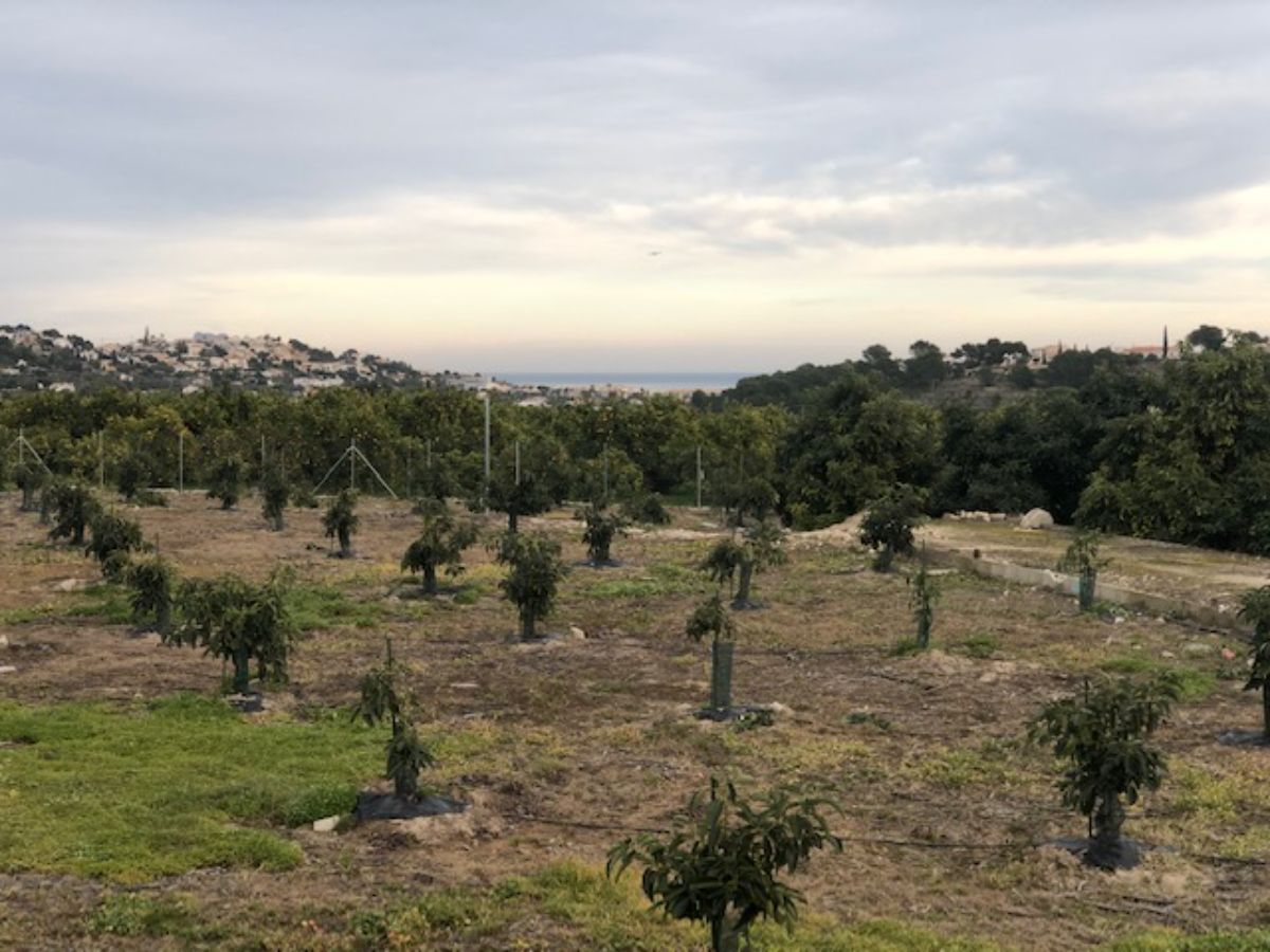 For sale of land in Alfaz del Pi