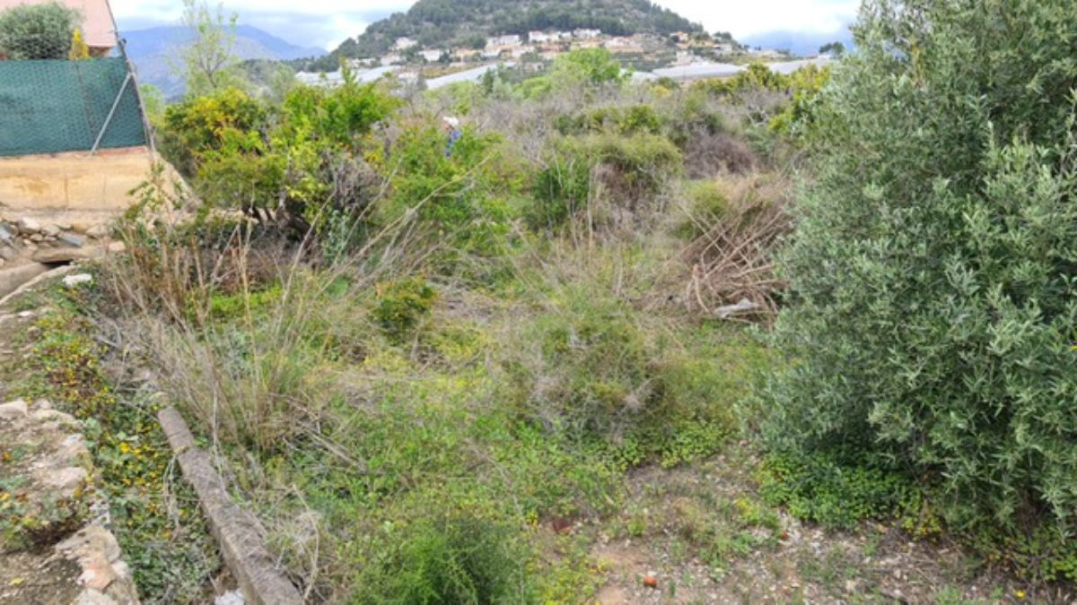 For sale of rural property in La Nucia
