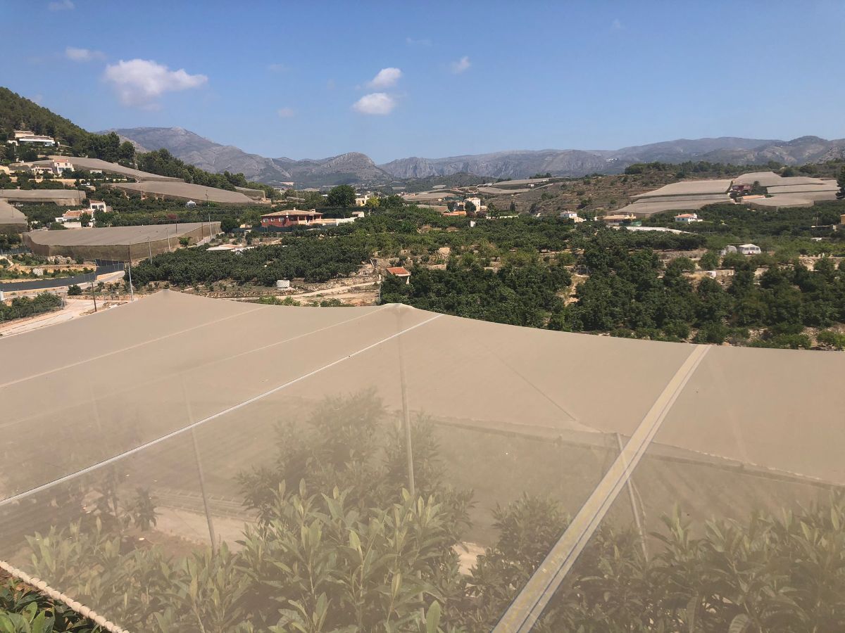 Venta de finca rústica en Callosa d En Sarrià