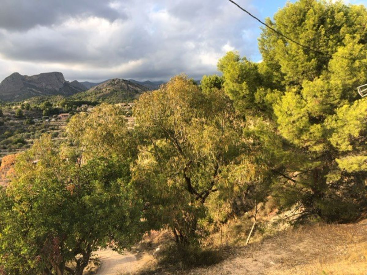 For sale of rural property in Finestrat