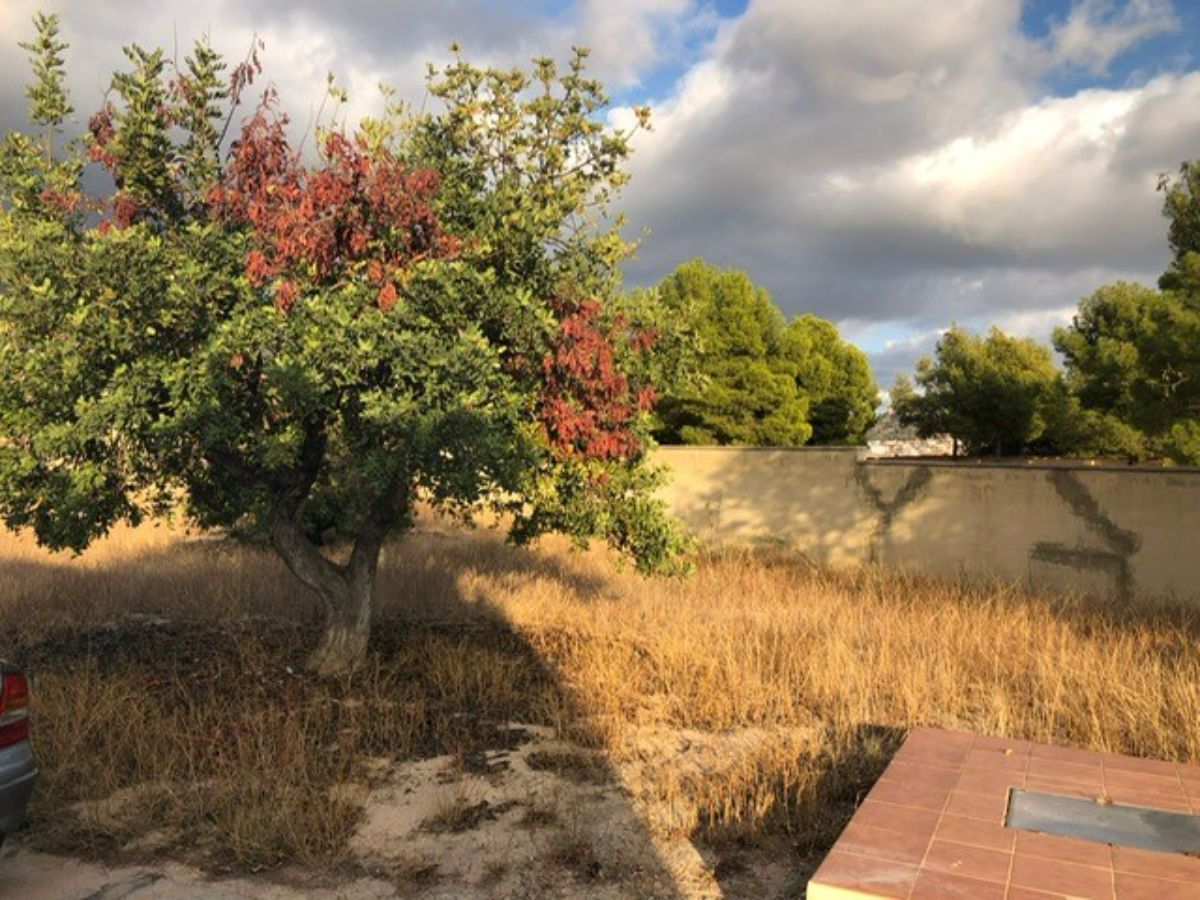 For sale of rural property in Finestrat
