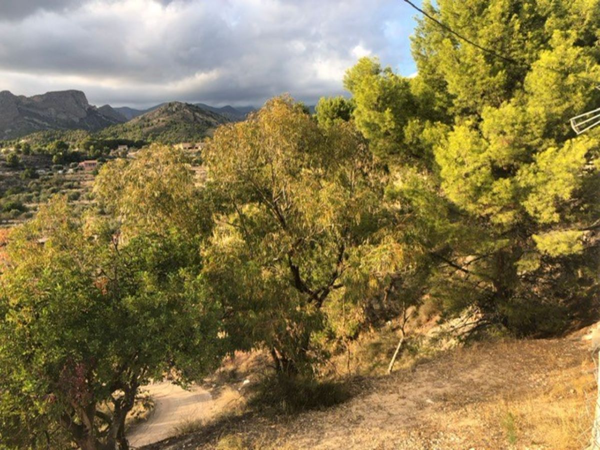 For sale of rural property in Finestrat