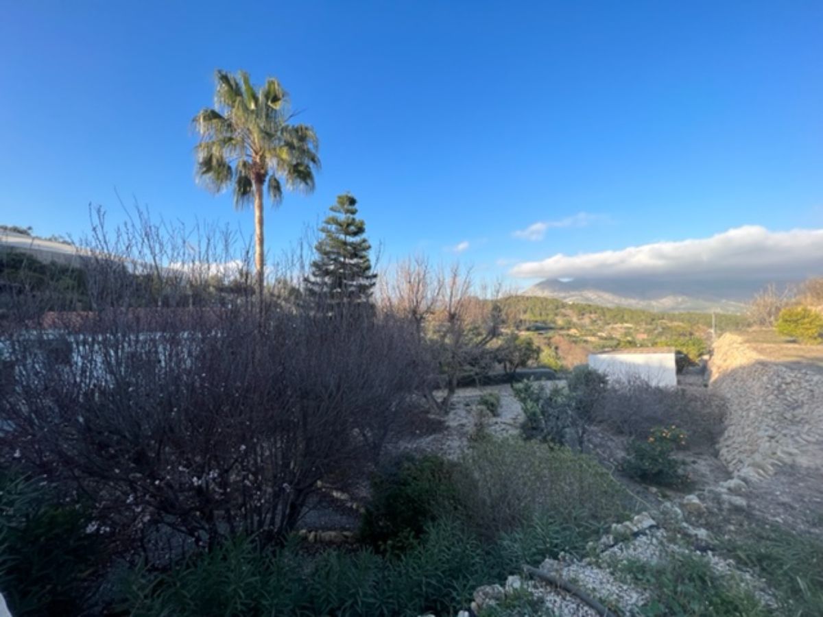 Venta de finca rústica en La Nucia