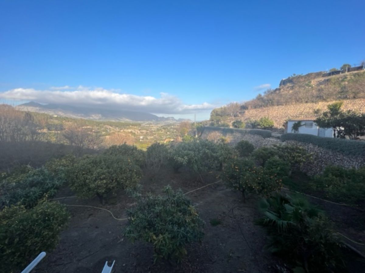 Venta de finca rústica en La Nucia