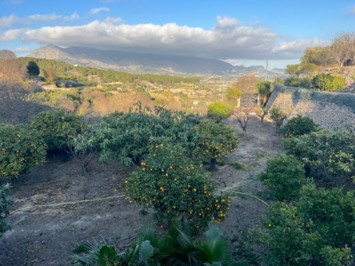 Venta de finca rústica en La Nucia