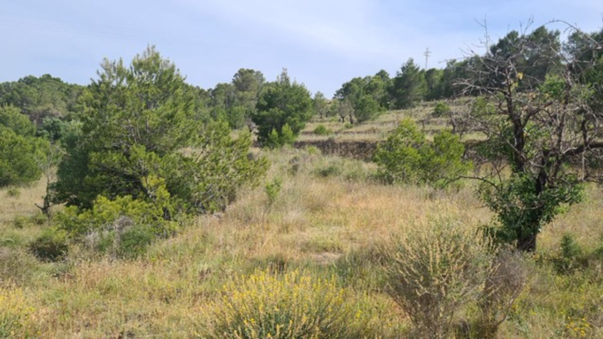 For sale of rural property in La Nucia