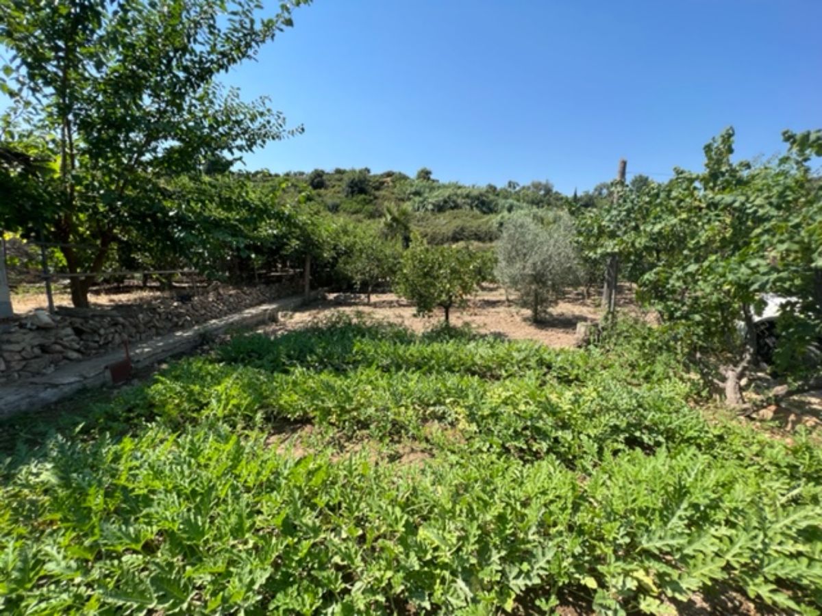 For sale of rural property in La Nucia