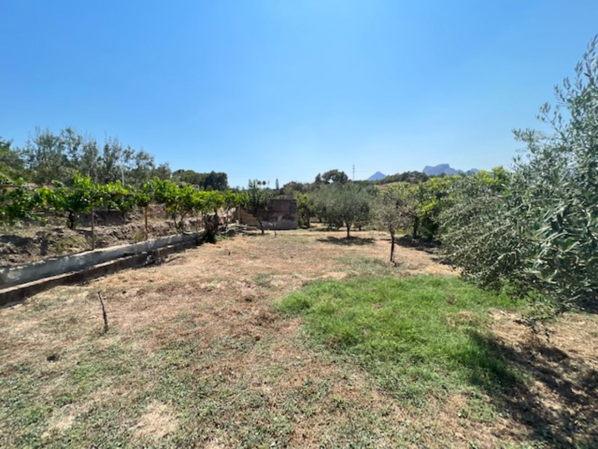 For sale of rural property in La Nucia