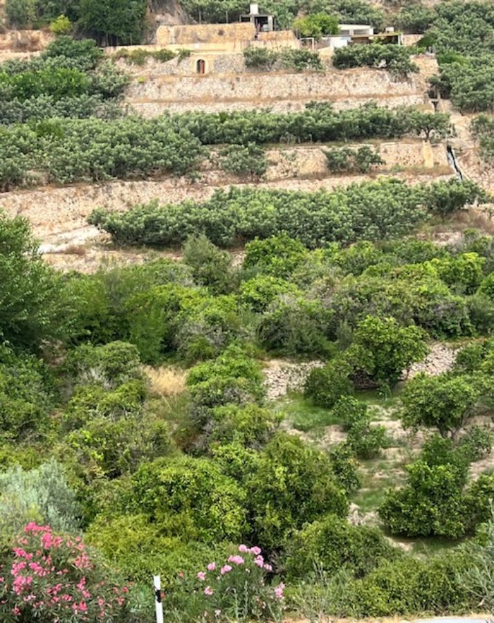 For sale of land in La Nucia