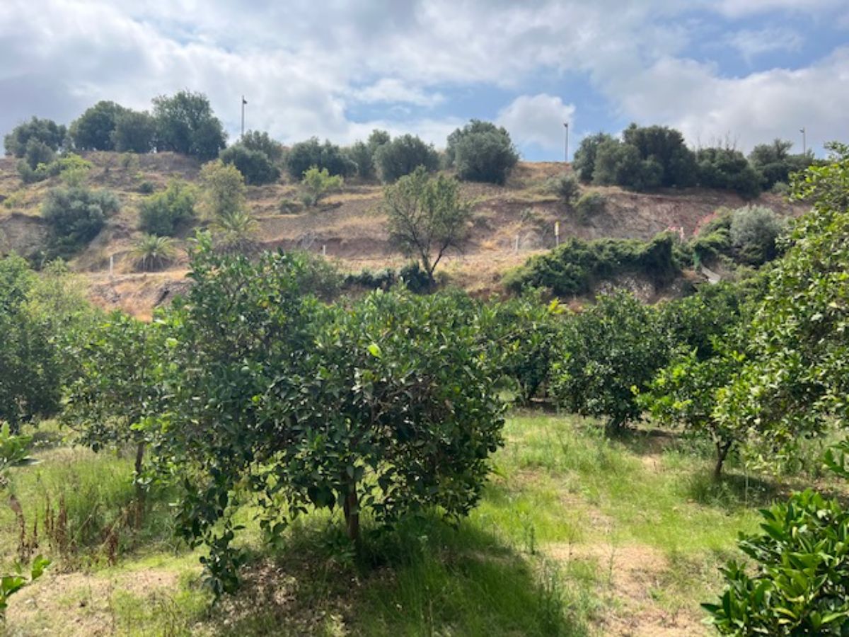 For sale of land in La Nucia