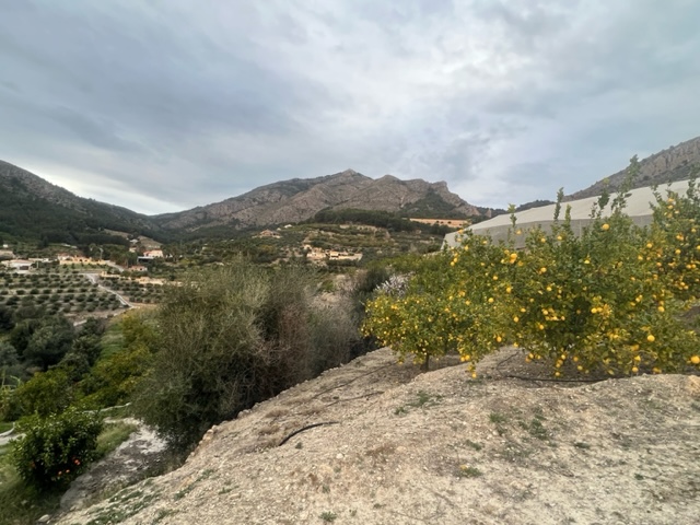 Venta de terreno en Callosa d En Sarrià