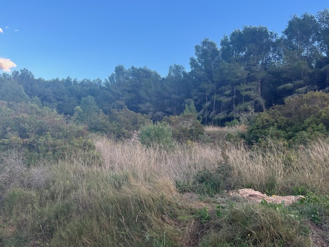 For sale of land in Finestrat
